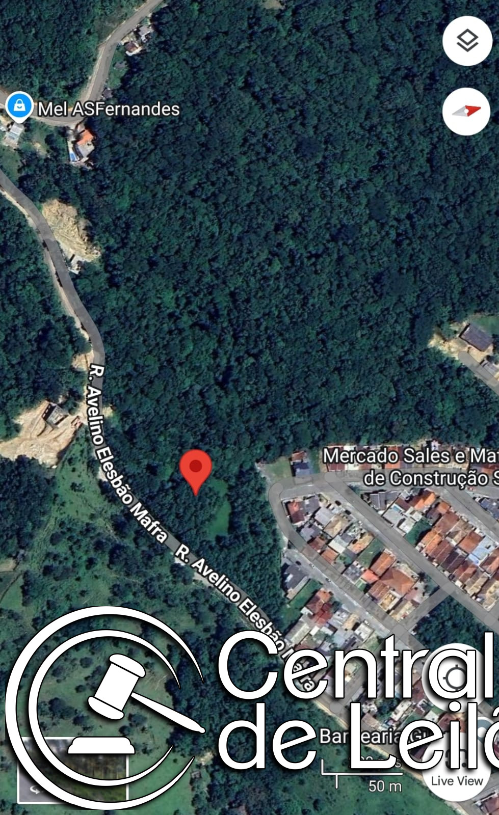 Imagem leilão