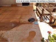 Imagem leilão