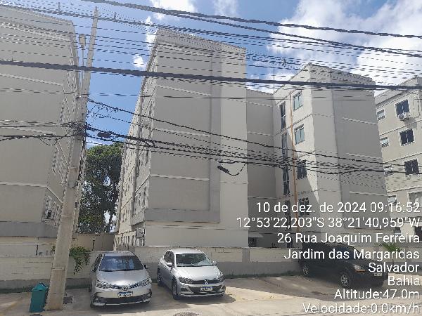 Imagem leilão