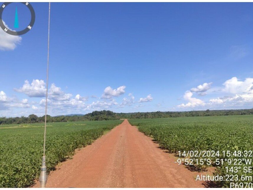 Imagem leilão