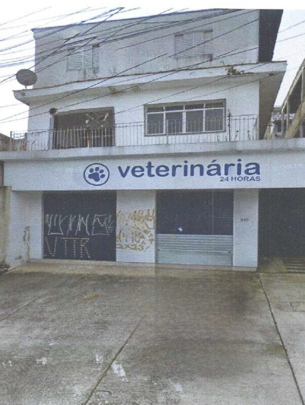 Imagem leilão