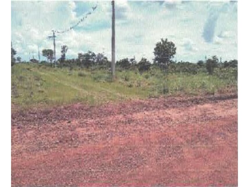 Imagem leilão