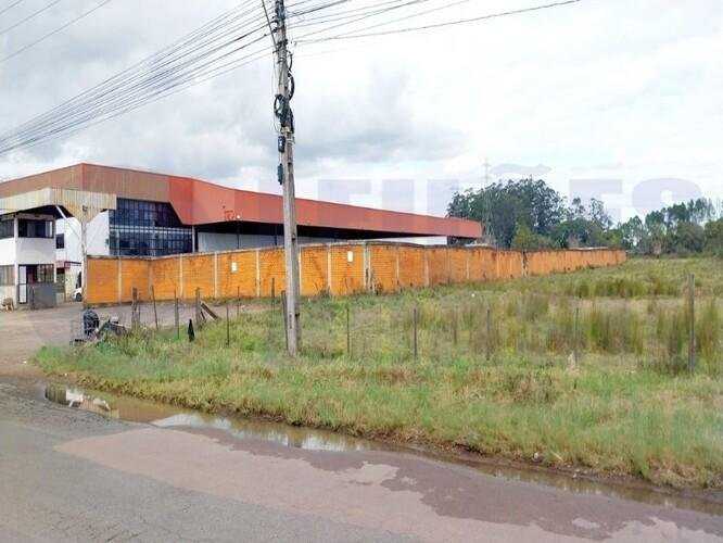 Imagem leilão