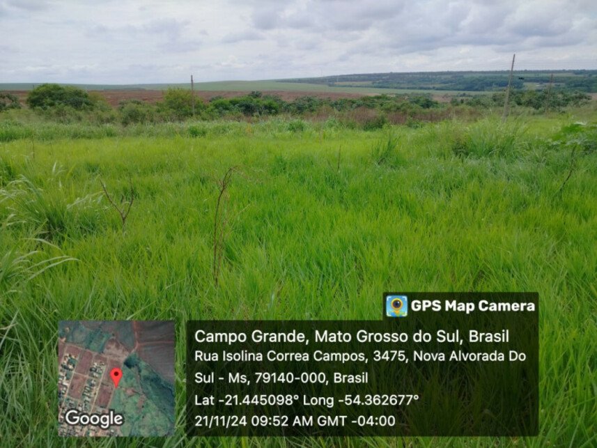 Imagem leilão