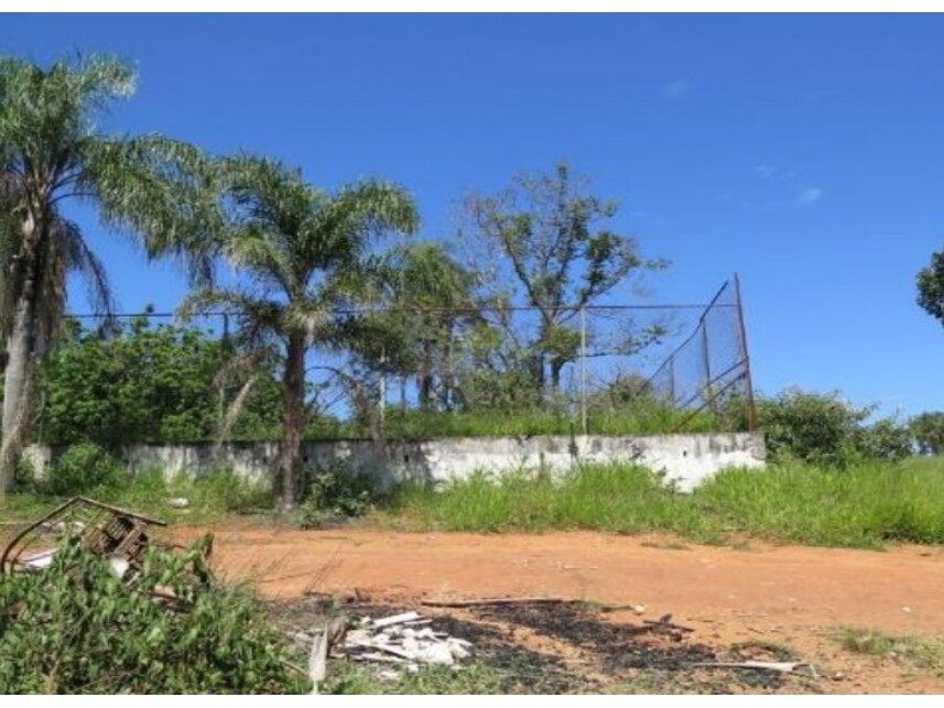 Imagem leilão