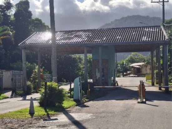 Imagem leilão