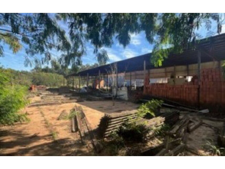 Imagem leilão
