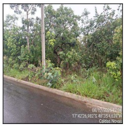Terreno, 0.00 de área total, 0.00 de área privativa, 1000.00 de área do terreno. em Caldas Novas/GO