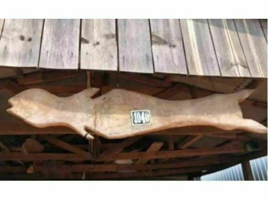 Imagem leilão