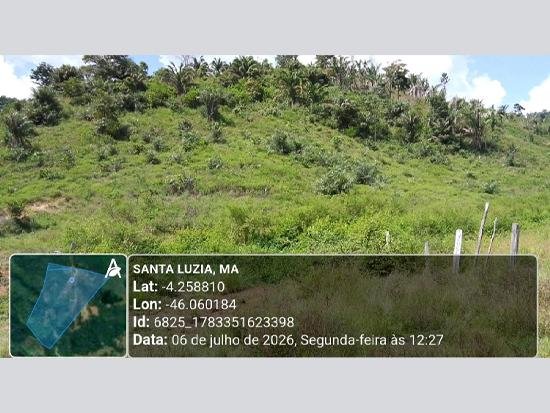 Imagem leilão