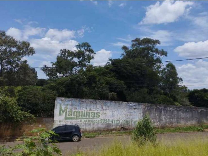 Imagem leilão