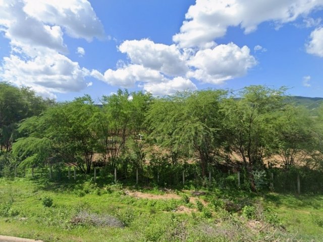 
                        Imóvel Rural, 1.007 ha, Areia de Baraúna/PB                     em Baraúna/PB - foto 2