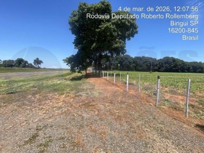 Imagem leilão