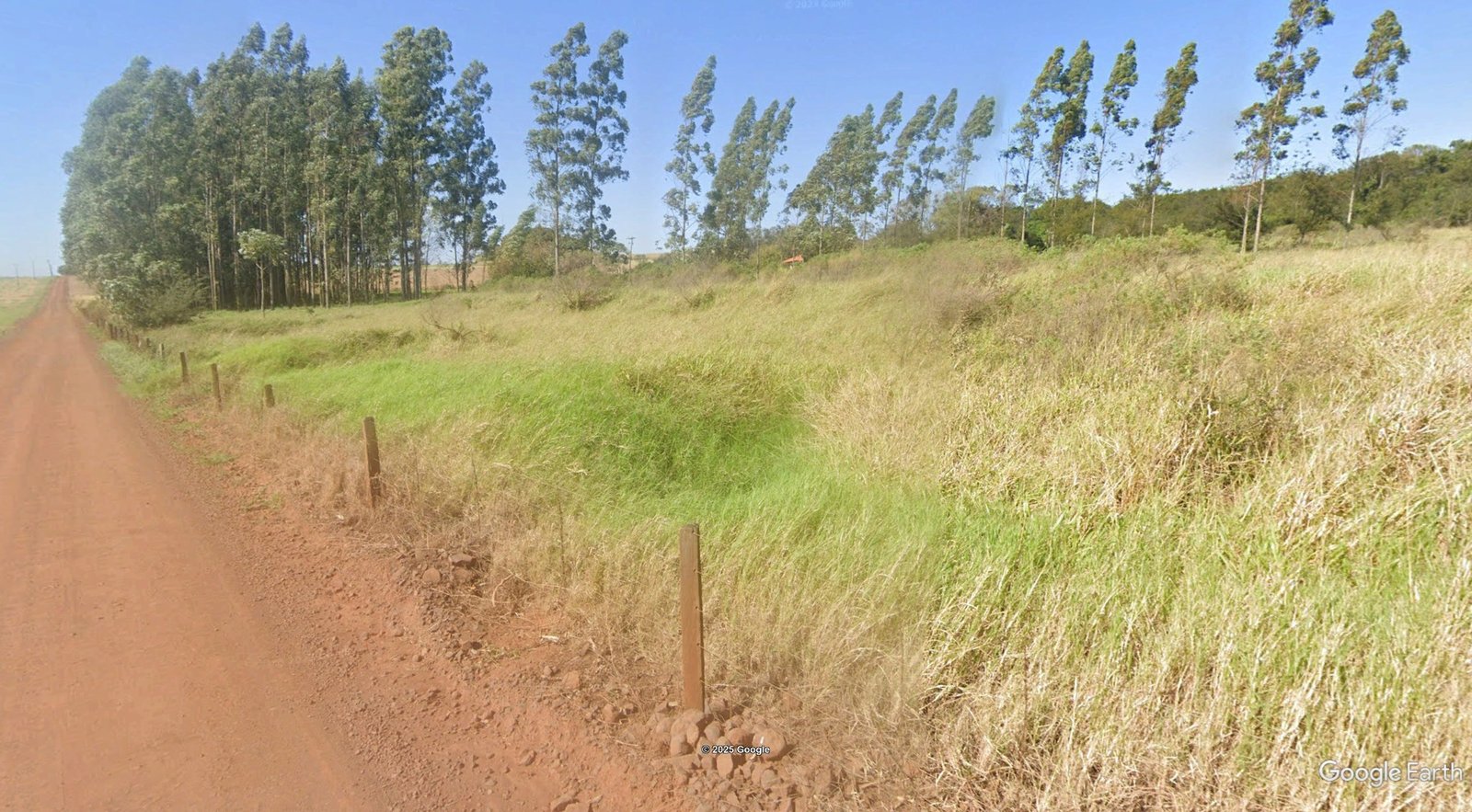 Imagem leilão
