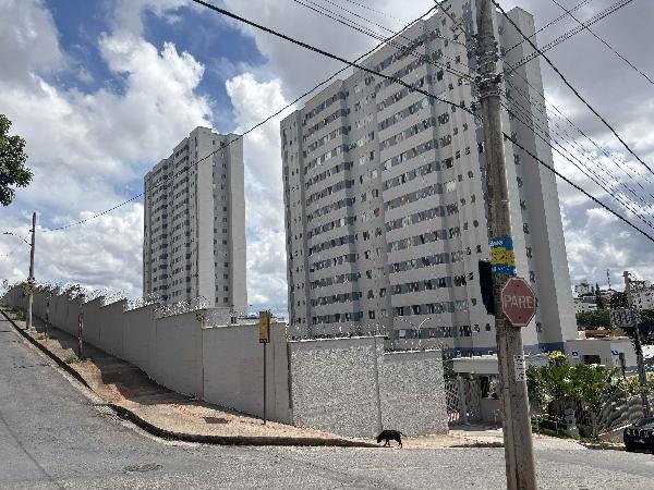 Imagem leilão