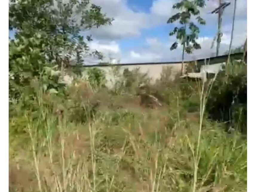 Imagem leilão