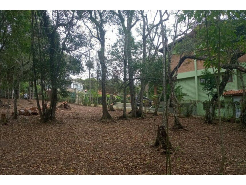 Imagem leilão