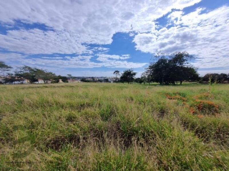 Imóvel em Araraquara/SP - foto 4