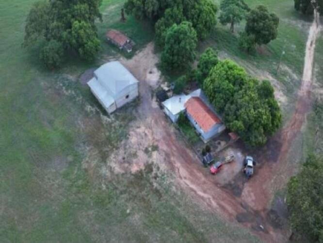 Imagem leilão