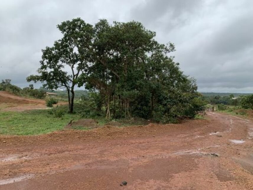 Imagem leilão