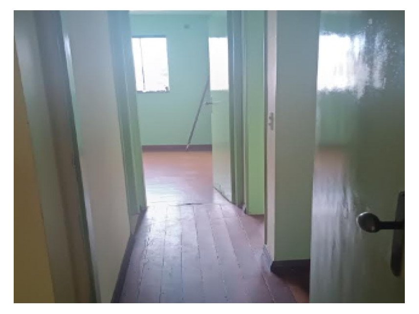 Imagem leilão