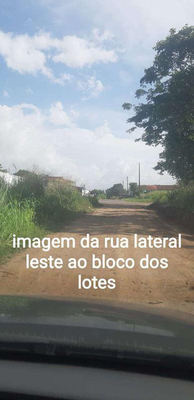 Imagem leilão