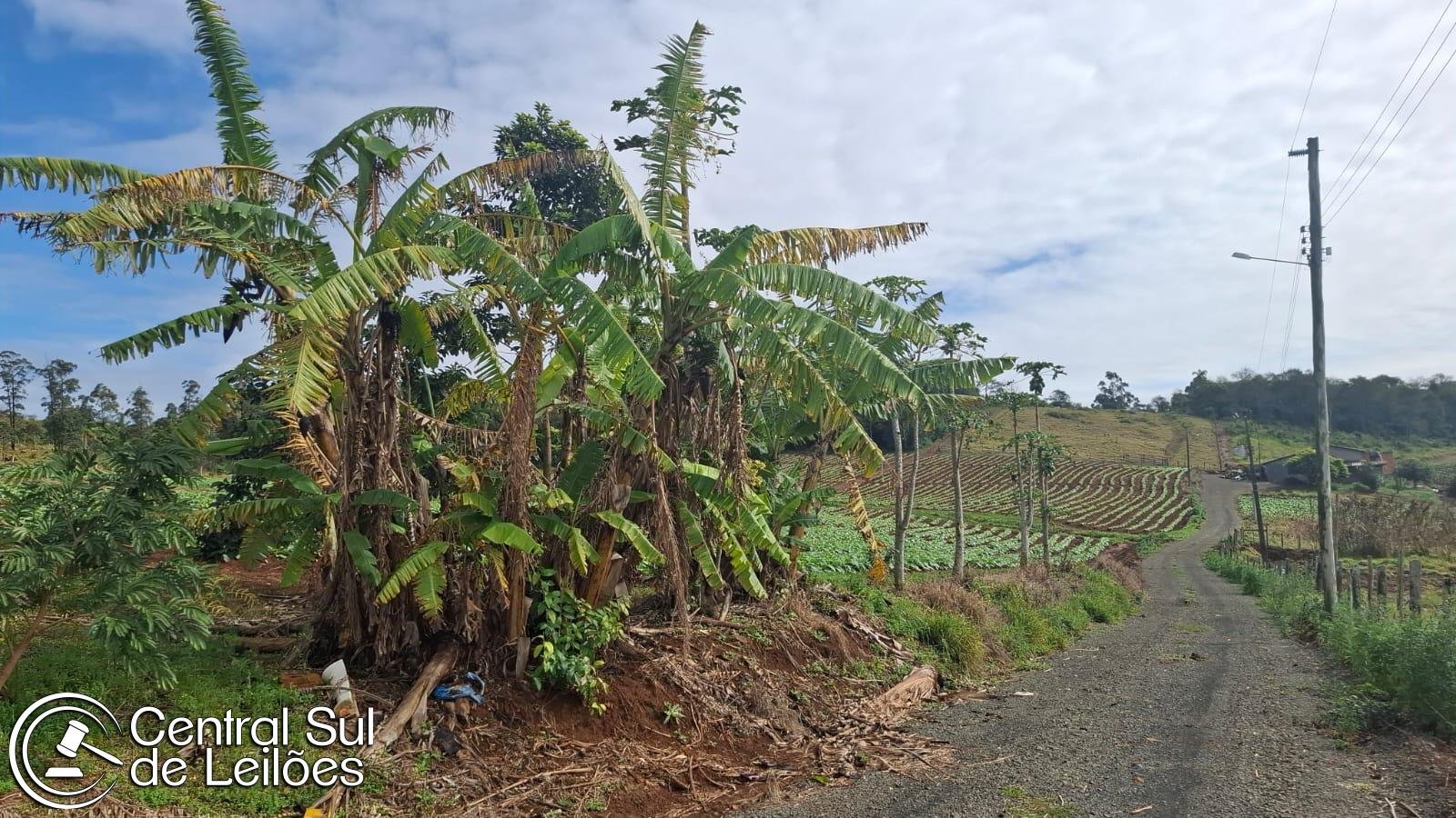 Terreno rural com área de 36.815,98m², na localidade de Pontão, no Município de Araranguá/ em Araranguá/SC - foto 3