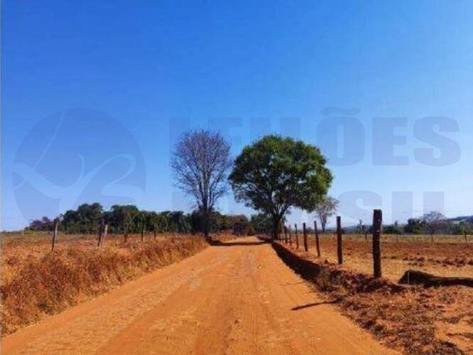 Imagem leilão
