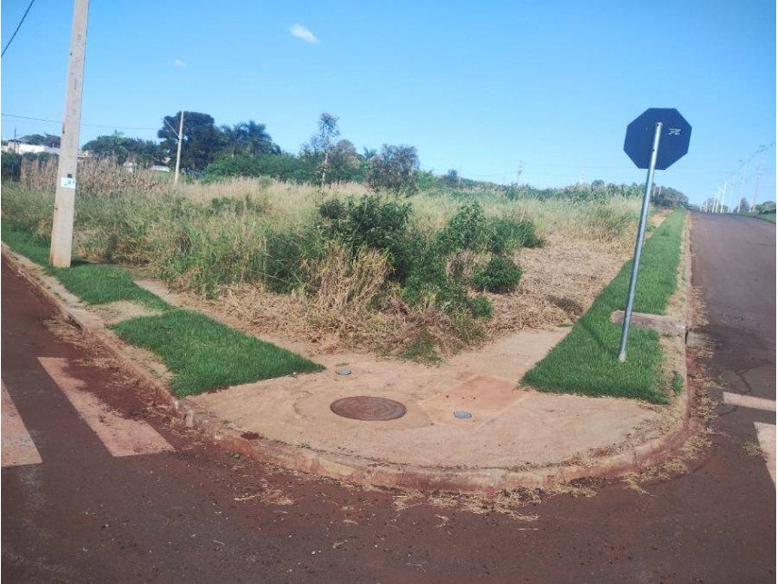 Imagem leilão