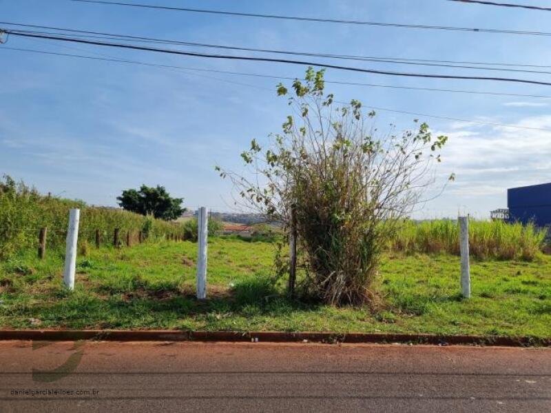 Imóvel em Araraquara/SP - foto 3