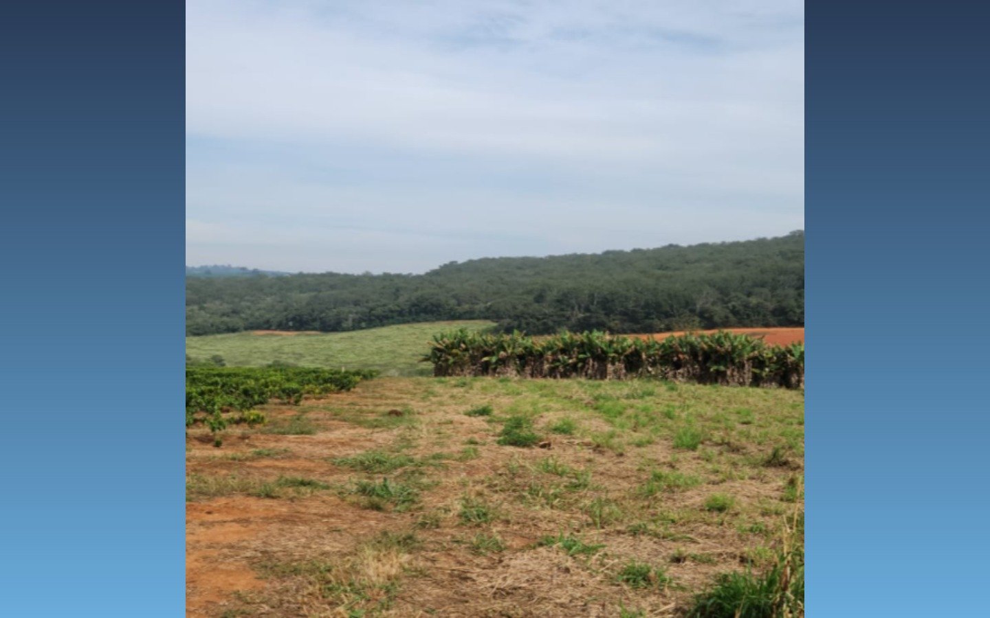 Terreno rural de 72.600m² — Boa Esperança/MG em Boa Esperança/MG - foto 4