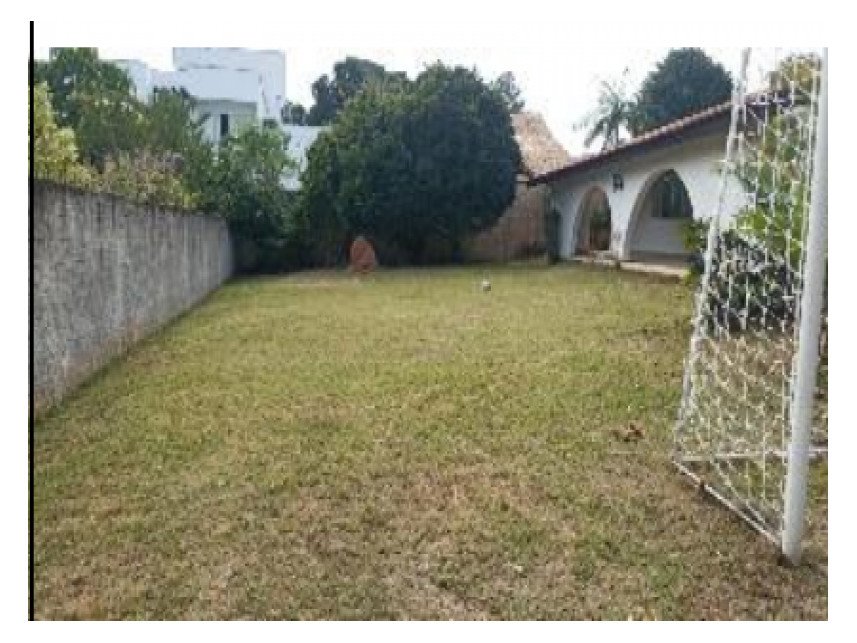 Imagem leilão