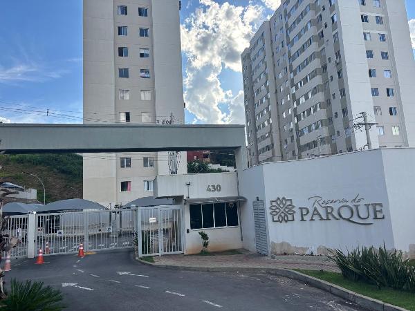 Imagem leilão