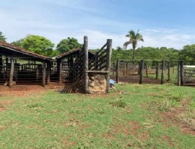 ID 21533 - Lote:
    1 - 202605000160 - Área rural - Propriedade Rural em Santa Fé de Goi em Santa Fé de Goiás/GO - foto 8