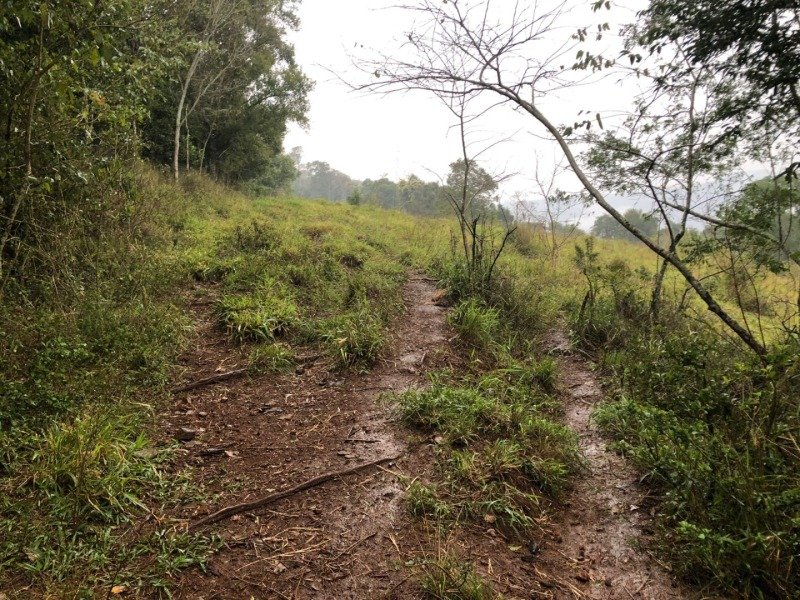 A FRAÇÃO IDEAL DE 50% (128.750,00M²) SOBRE O LOTE RURAL.. em Erval Grande/RS - foto 14