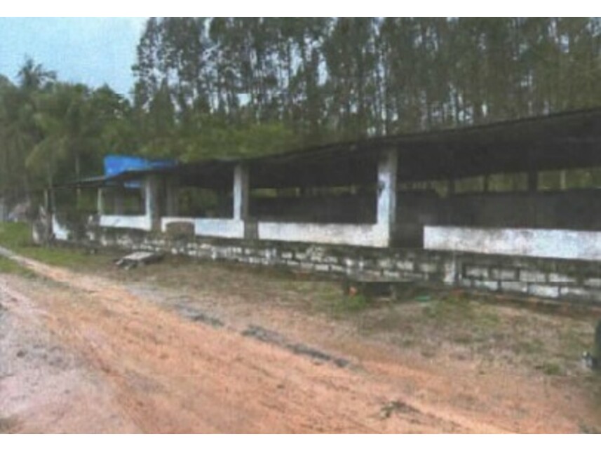 Imagem leilão