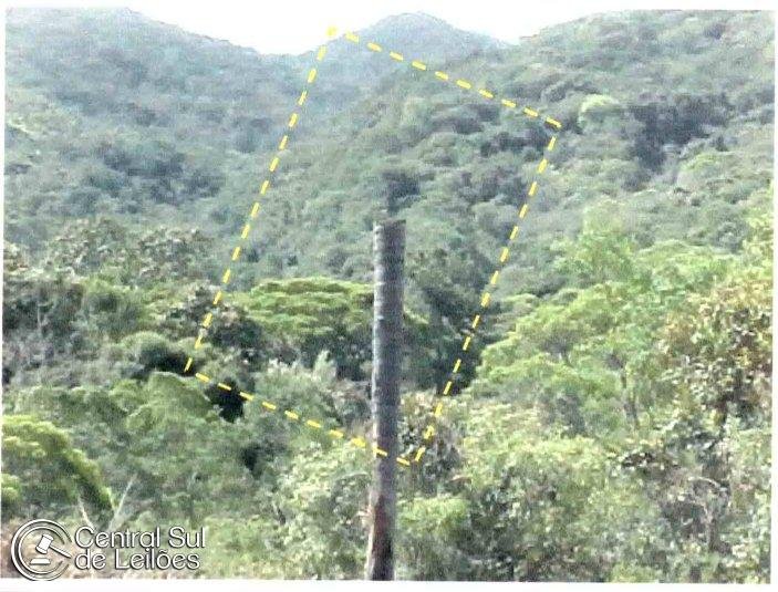 Terreno com área de 1.000.000,00m², situado em São Miguel, no Município de Biguaçu/SC em Biguaçu/SC - foto 6