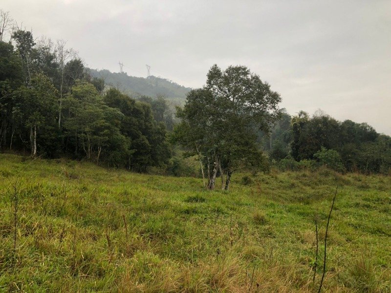 A FRAÇÃO IDEAL DE 50% (128.750,00M²) SOBRE O LOTE RURAL.. em Erval Grande/RS - foto 5