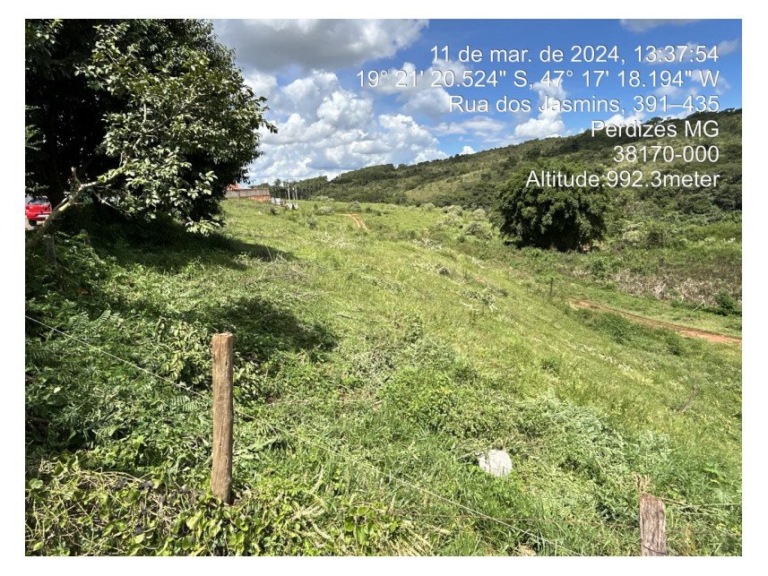 Imagem leilão