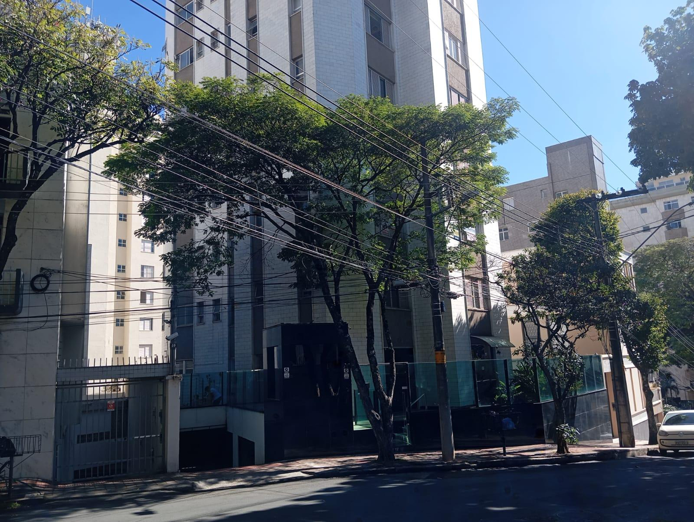 Imagem leilão