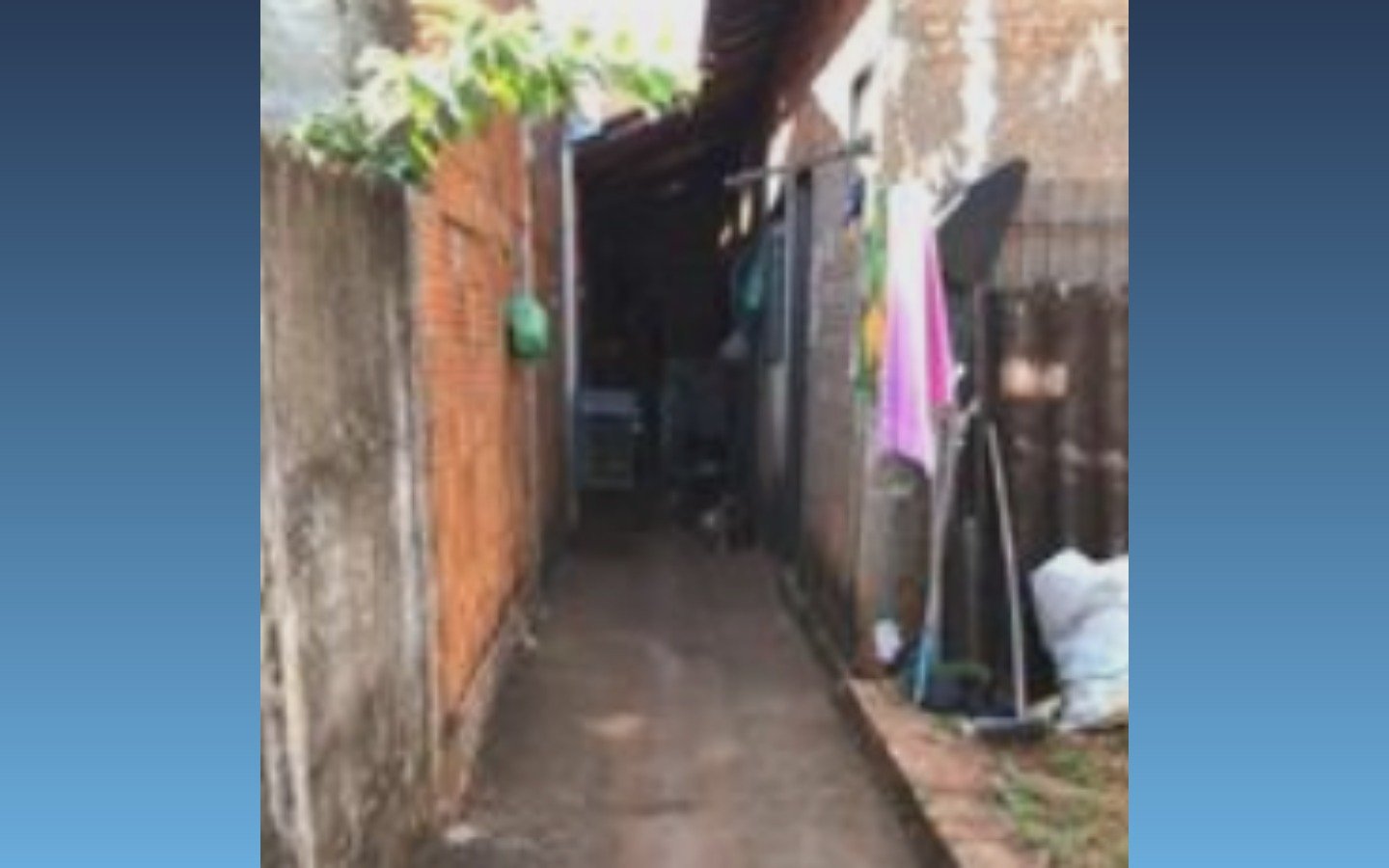 Imagem leilão