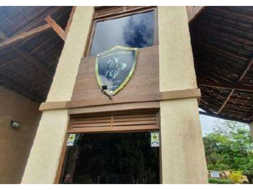 Imagem leilão