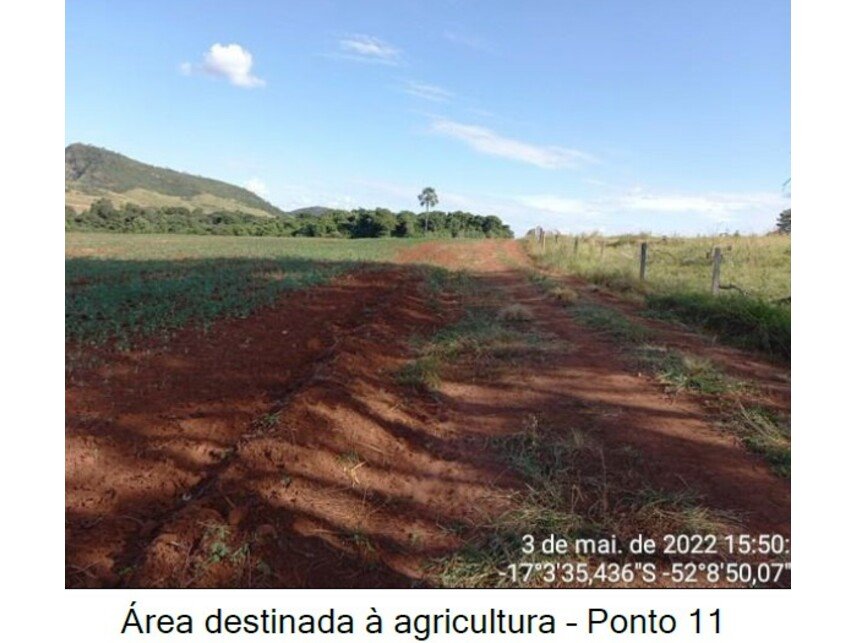 Imagem leilão