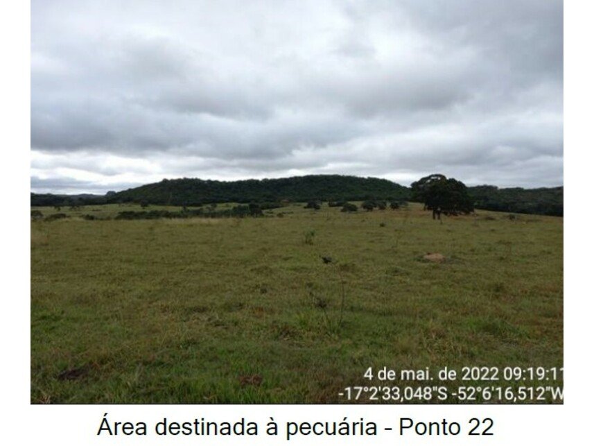 Imagem leilão