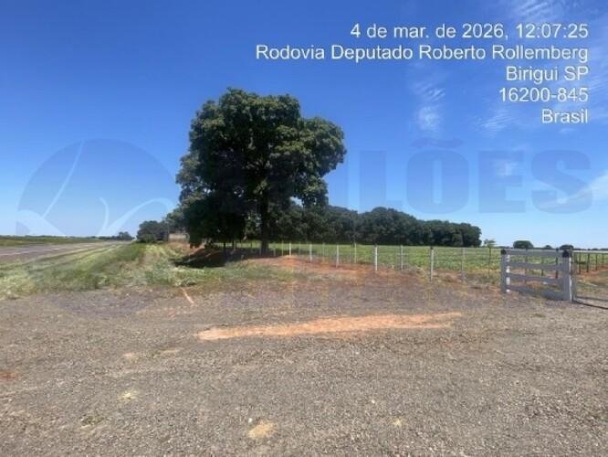 Imagem leilão