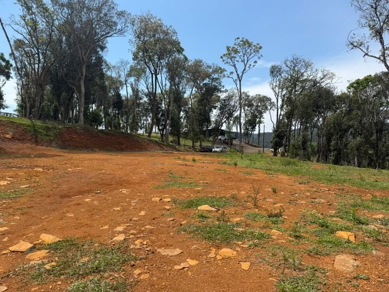 Terreno Alto Suruvy  com 42.634,18m² em Concórdia/SC - foto 4