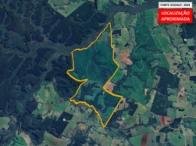 Direitos - Fazenda - 517ha 9.267,00m² – Morrinhos em São Jerônimo/RS - foto 3
