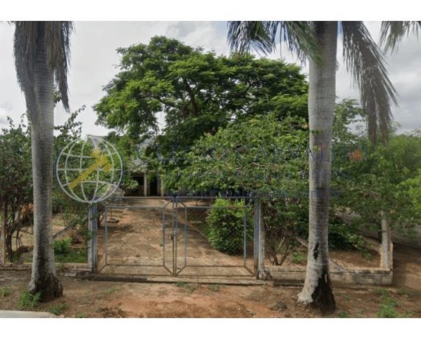Imagem leilão