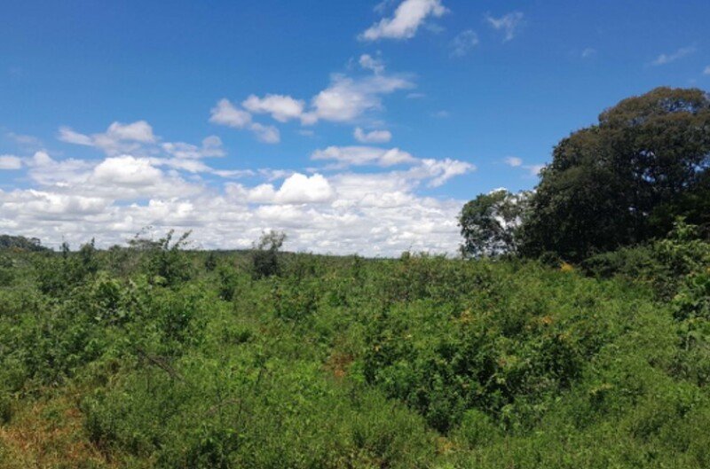 BAHIA - CORIBE/BA - FAZENDA/ÁREA RURAL em Coribe/BA - foto 2