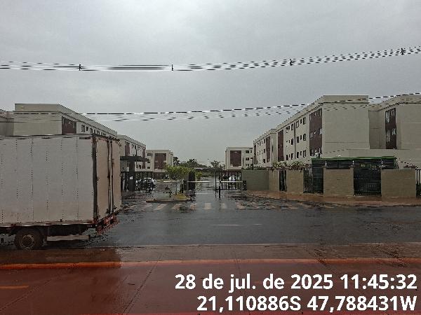 Imagem leilão